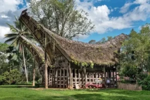 Tourist Attractions Sulawesi