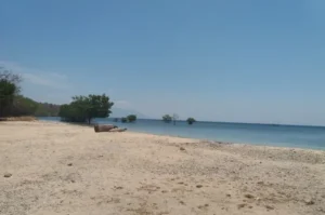 Marine Tourism in Bali