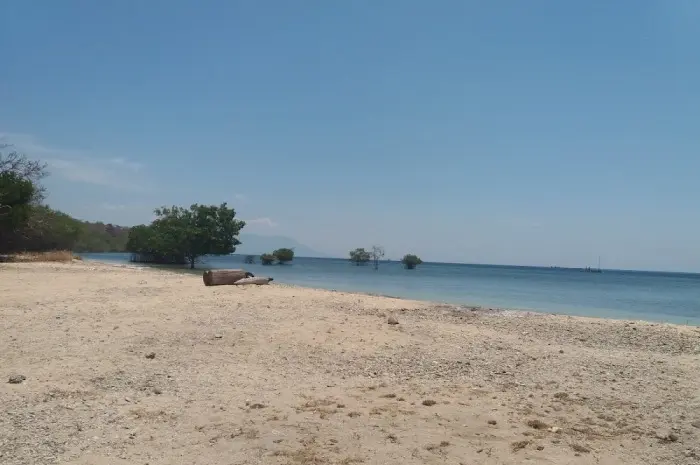 Marine Tourism in Bali