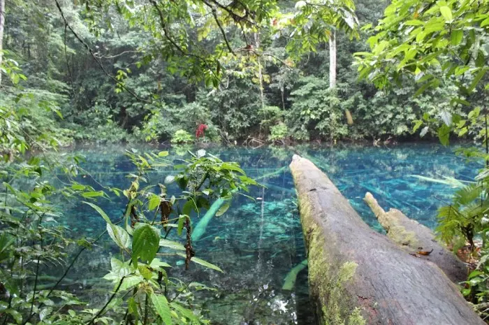 Tourist Destinations in Berau