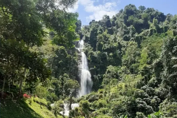 Pletuk Waterfall, Exploring the Amazing Natural Beauty Steeped in History in Banjarnegara