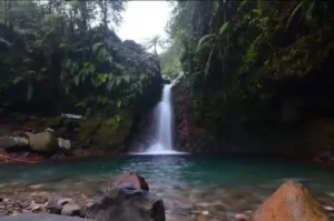 Prince Waterfall, the Best Place to Enjoy Natural Beauty in Bogor